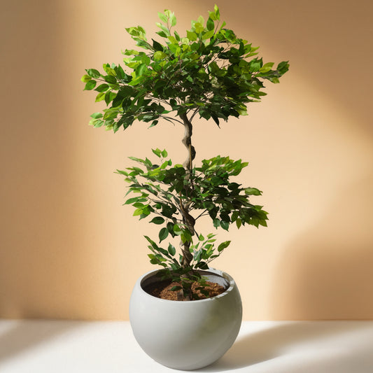 Ficus Artificial Tree in Fabric Leaves (180CM) No Pot