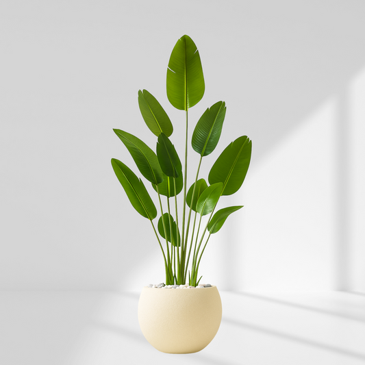 Traveller's Palm Artificial Plant (200CM) No Pot