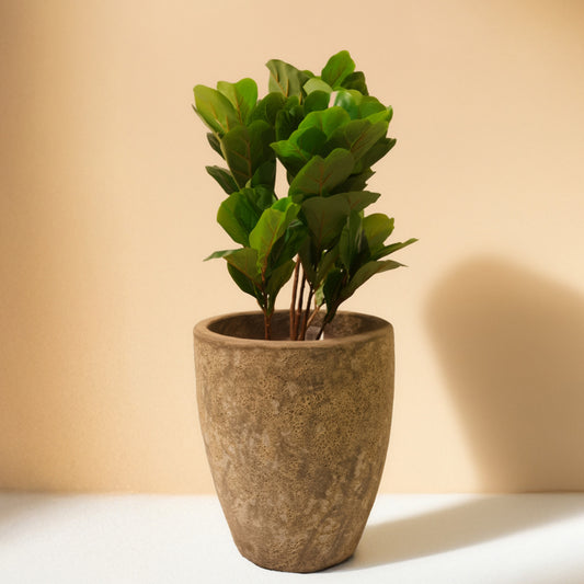 Fiddle Artificial Plant (70CM) No Pot