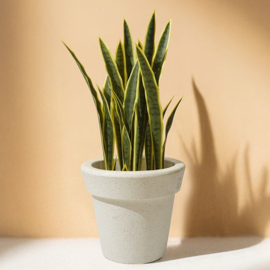 Sansevieria - Snake Artificial Plant (89CM) No Pot