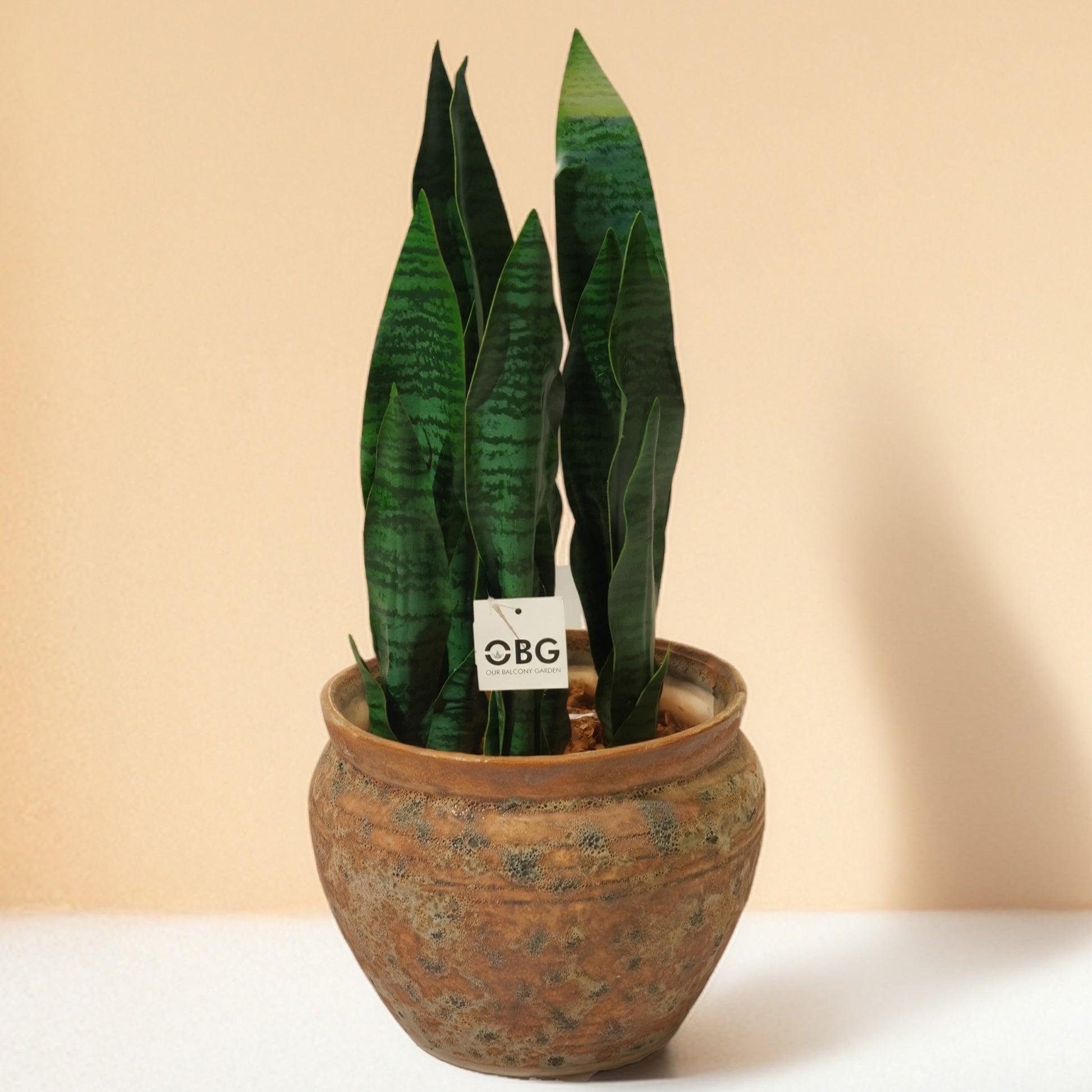 artificial snake plant without pot Sansevieria