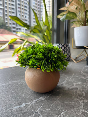 Globe Artificial with Pot