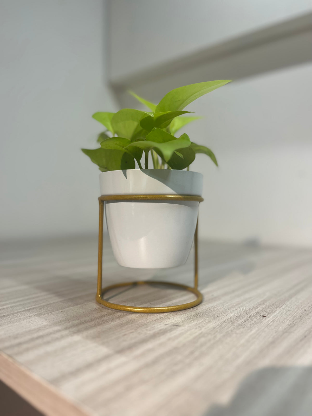 OurBalconyGarden Metal Pot| Home Decor| Display Gift OBG-8