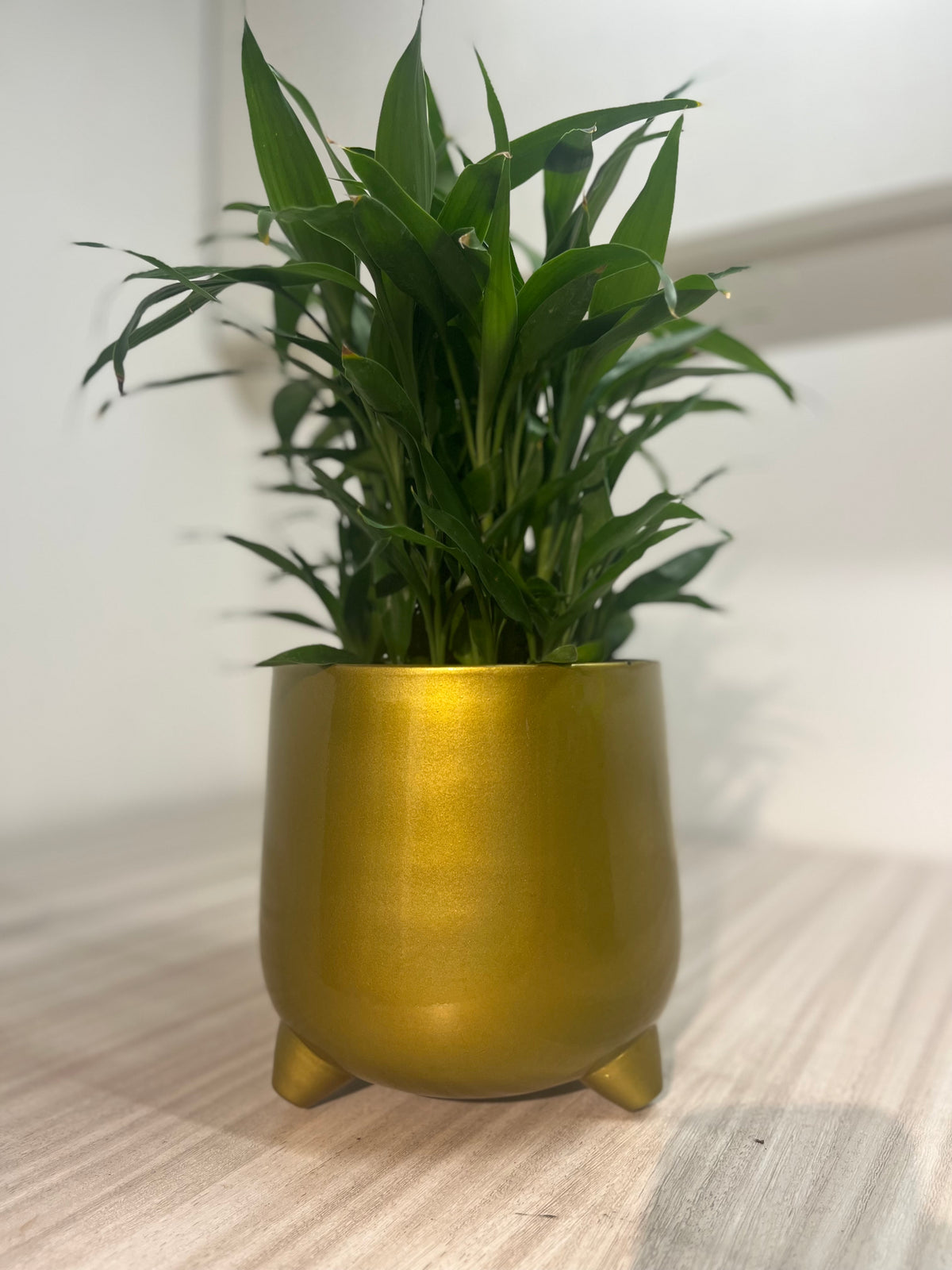 OurBalconyGarden Golden Metal Pot | Home Decor Pot  OBG-11