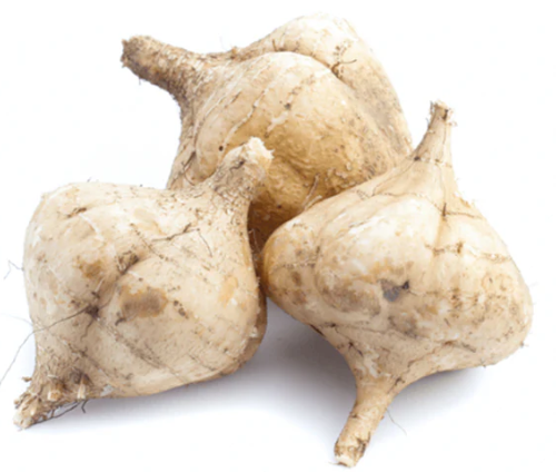 Yam Bean Seeds