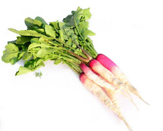 Radish Half Red Seeds