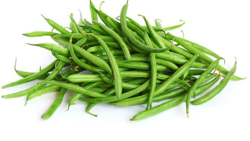 Blue Lake Pole Bean Seeds