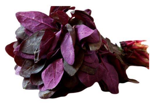 Red Orach Spinach Seeds