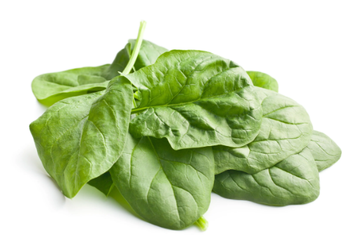 Spinach Giant Seeds